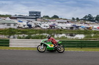 Green Bikes